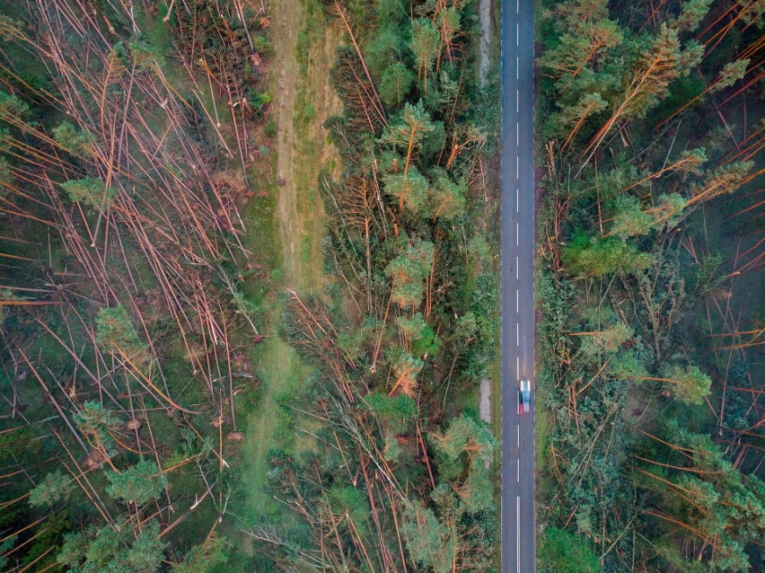 Wichura zniszczyła las w okolicy Tlenia i Osia w powiecie świeckim [zdjęcia z drona]