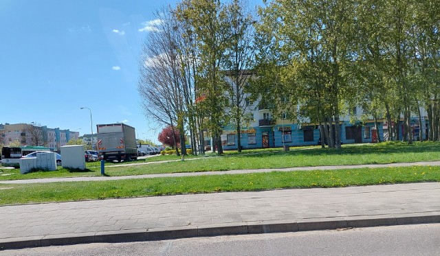 Lawendowy park kieszonkowy ma powstać na działce miejskiej położonej przy ulicy Kołłtąja na osiedlu Bacieczki