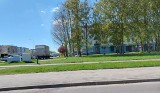 Lawendowy park kieszonkowy ma powstać na osiedlu Bacieczki w Białymstoku