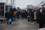 Targowisko w Wierzbicy w niedzielę, 16 stycznia. Mimo mrozu było wielu handlujących i kupujących. Zobacz zdjęcia 