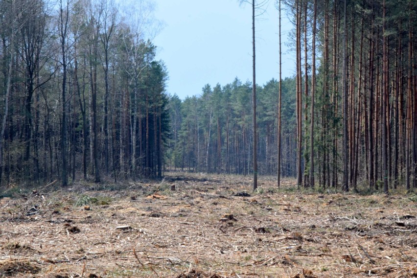 Kolejny krok w stronę budowy obwodnicy Starachowic. Podpisano ważną umowę (ZDJĘCIA)