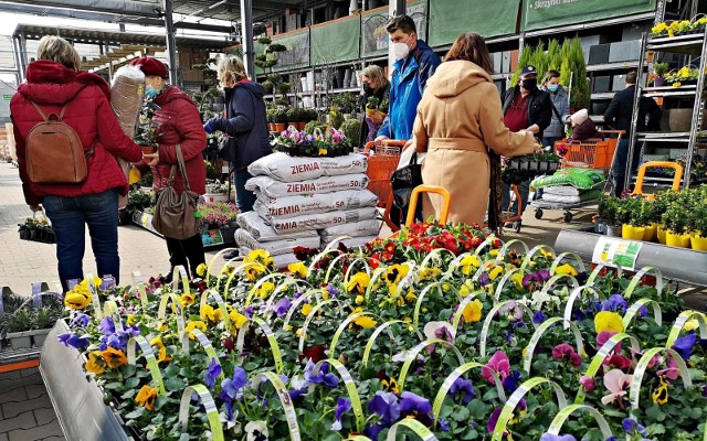 Sieć sklepów zorganizowała akcję "Kwiaty za elektrograty - Wiosna 2021". Między 26 a 28 marca przyjmuje w swoich punktach zalegające w domach elektrośmieci.