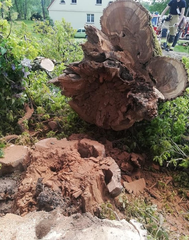 Strażacy z JRG PSP w Miastku oraz OSP w Kamnicy usunęli w Bobięcinie drzewo, które zagrażało pobliskim budynkom. Stan drzewa wskazywał, że przy niesprzyjającej aurze może ono przewrócić się na obiekty. Akcja przebiegła sprawnie.