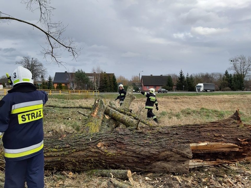 Mocno wieje w naszym regionie. Strażacy są wzywani do...