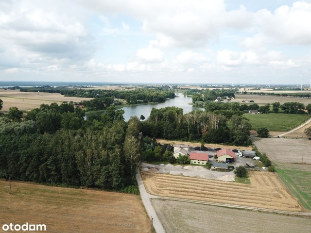 LENIE WIELKIE, POWIAT LIPNOWSKI W skład posesji wchodzi 0,50 ha lasu, 0,70 ha ziemi rolnej. Z kolei 0,46 ha - powierzchnia działki zajęta przez budynki mieszkalne, gospodarcze, utwardzony plac, parking dla ciężarówek Cena: 749 000 zł Powierzchnia domu z 1989 roku: 226 m kw. 6 pokoi https://www.otodom.pl/pl/oferta/baza-transportowa-z-placem-utw-i-waga-1-66h-ID3xFAw