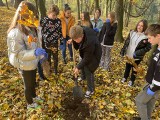 W gminie Skalbmierz rosną kolejne drzewa. Dęby, klony i brzozy posadzone zostały na terenie przyszkolnego parku w Topoli [ZDJĘCIA]