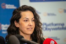 Alicja Łepkowska- Gołaś, posłanka PO