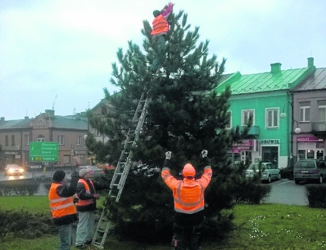 Pracownicy ZUK wieszają lampki  na choince w Jędrzejowie.