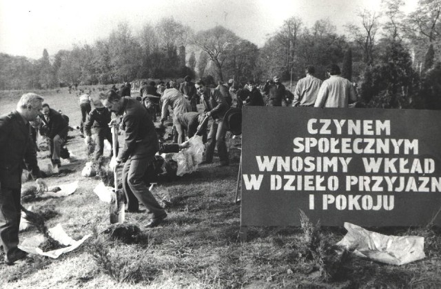 Październik 1984 - sadzenie drzewek na Cytadeli