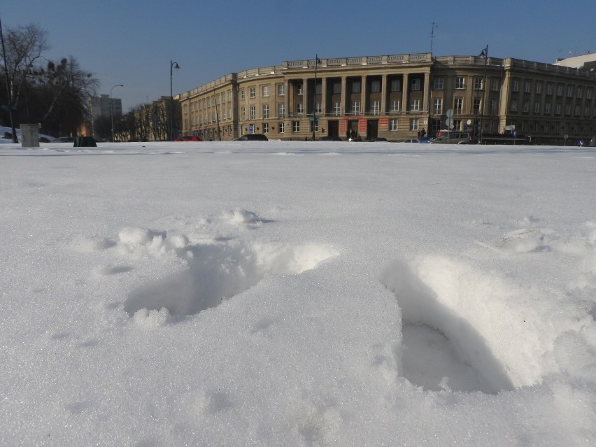 Pomnik Lecha Kaczyńskiego może pojawić się na placu...