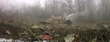 Katastrofa w Smoleńsku. Notatka wywiadu w sprawie dobijania rannych z prezydenckiego samolotu TU154 (video)