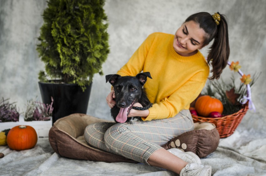 Nie kupuj! Adoptuj! Psy ze słupskiego schroniska to wspaniali modele – mamy nowe zdjęcia z sesji zdjęciowej