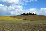 Pracownicy gospodarstw chcą zarabiać więcej. I mieć wolne niedziele, gdy markety są zamknięte