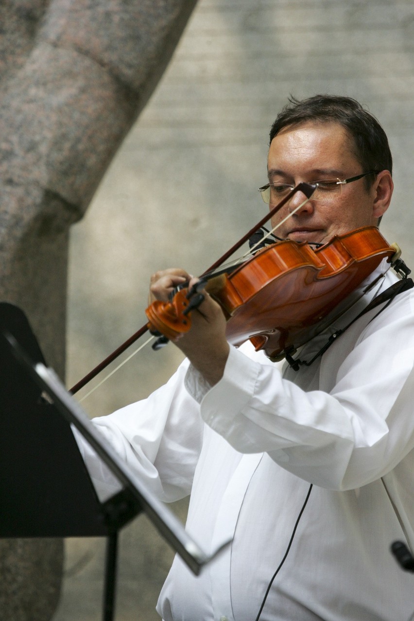 Koncert zespołu Viva la Musica w parku Waldorffa [ZDJĘCIA]