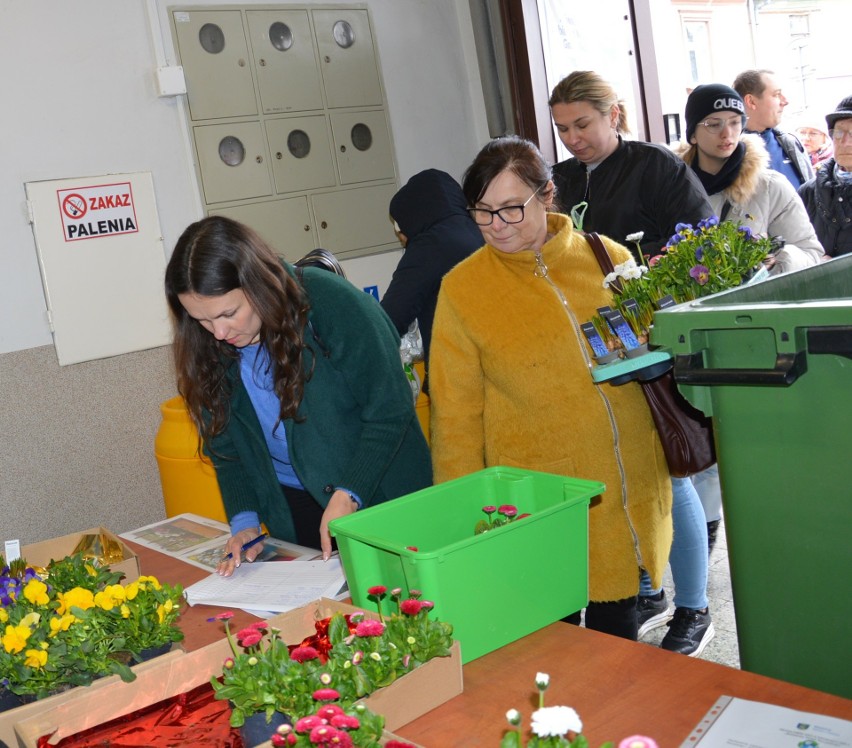 Światowy Dzień Recyklingu w Skawinie. W Rynku spora kolejka po bratki, szafirki i stokrotki za elektroodpady
