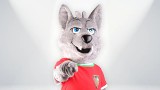 Zagłębie Sosnowiec ma nową maskotkę. Kibice wymyślają imię dla zagłębiowskiego wilka. GKS Tychy ma "Tyska"
