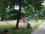 Na mieszkańców Pleszewa padł blady strach. Nieznani mężczyźni obserwują dzieci w parku? Jest reakcja policji