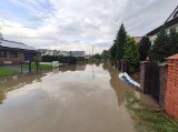 Jest trzeci już przetarg na przebudowę ul. Hodowlanej w Poznaniu. Mieszkańcy mają dość. Miasto liczy na cud? 