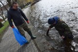 Sprzątanie brzegów Trzesiecka w Szczecinku. To syzyfowe prace, ale trzeba je wykonać [ZDJĘCIA]
