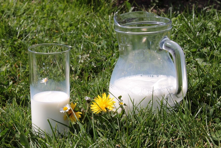 Spożycie mleka może nasilić problemy skórne takie jak...