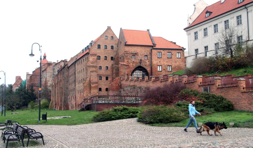 Spacerując na Błoniach Nadwiślańskich można zauważyć prace...