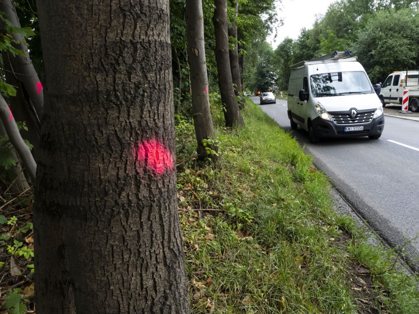 Wycinka drzew pod ścieżkę pieszo-rowerową...