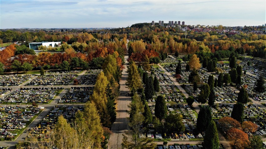 Kraków. Cmentarz batowicki w jesiennych kolorach [ZDJĘCIA Z DRONA]