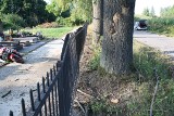 Motocyklista uderzył w drzewo, przeleciał nad ogrodzeniem i wylądował na... cmentarzu! [ZDJĘCIA]