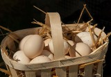 Jajka wielkanocne – czym kolorować, jak gotować, faszerowanie jajek – wszystko, co musisz wiedzieć o jajkach! [PORADNIK, PRZEPISY]