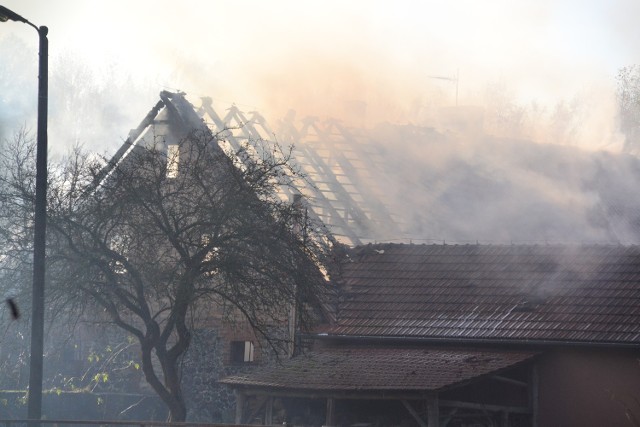 Trzydziestu strażaków walczy w Drożkowie z pożarem na posesji radnego Sejmiku Wacława Maciuszonka. Część mieszkalna nie jest zagrożona, najbardziej ucierpiały budynki gospodarcze. Na miejscu jest komendant PSP w Żarach, jego zastępca i dowódca JRG.O godz. 9.04 dyżurny straży pożarnej przyjął zgłoszenie o pożarze na jednej z posesji w Drożkowie (gm. Żary). Pożar wybuchł w kotłowni i rozprzestrzenił się na budynki gospodarcze. Część mieszkalna jest połączona z gospodarczą w kształcie litery "L". Z części dachu sąsiadującego z mieszkaniem został praktycznie szkielet.Jak poinformował zastępca komendanta PSP w Żarach mł. bryg. Paweł Hryniewicz, strażacy starają się, by nie doszło do uszkodzenia części mieszkalnej. - Musimy usunąć gąsiory z dachu, żeby uwolnić dym, który zbiera się tuż pod dachem właśnie nad częścią mieszkalną - wyjaśniał. Na miejsce dotarł także st. kpt. Robert Słowikowski, komendant PSP w Żarach.Do akcji wezwano 11 zastępów, niemal 30 strażaków, w tym zawodowcy oraz ochotnicy ze Złotnika, Lubanic, Bieniowa oraz Kunic.