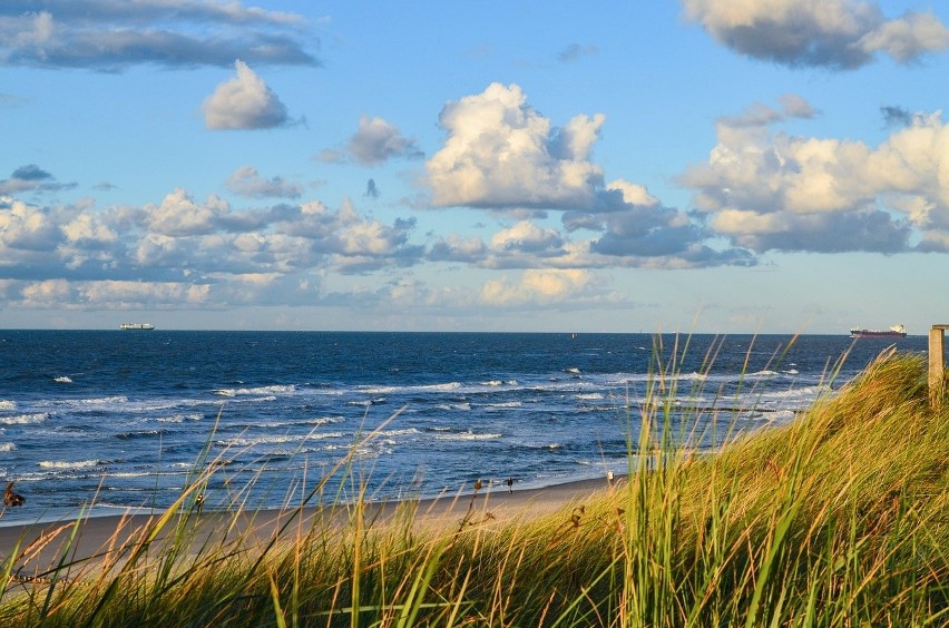 Jaki wpływ na Morze Bałtyckie ma zmieniający się klimat i...