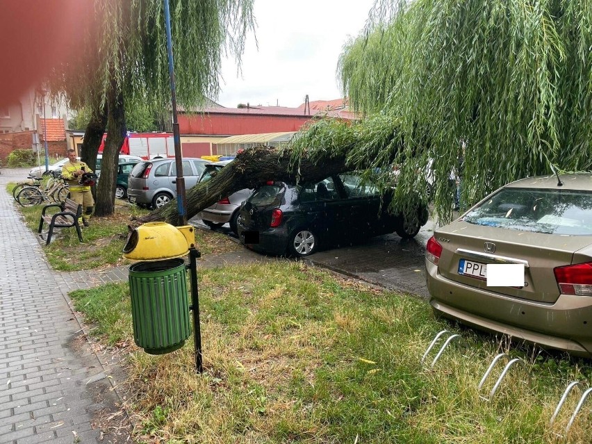 Na zaparkowany samochód przed jednym z bloków runęło drzewo.