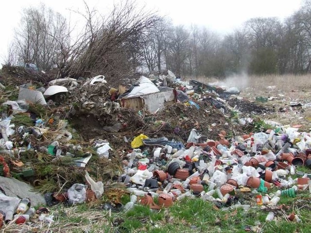 Dzikie wysypisko śmieci w gminie Biesiekierz.