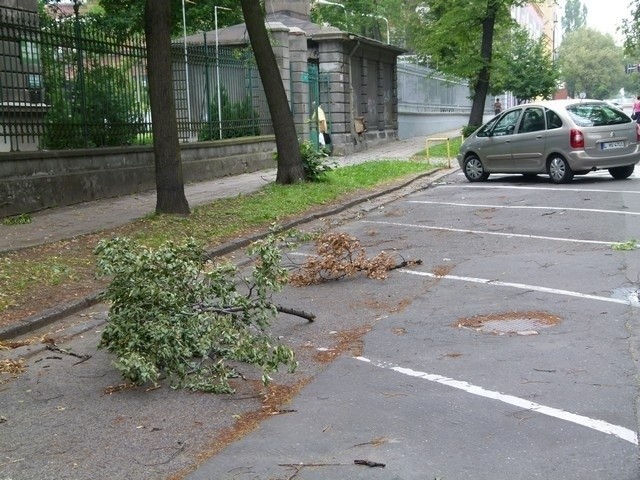 Jeszcze w niedzielę rano na ulicach leżało mnóstwo połamanych gałęzi.