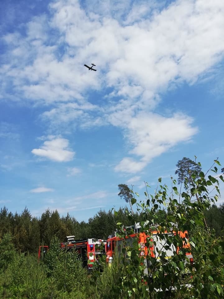 Pożar lasu w Solarni 23.06.2019.