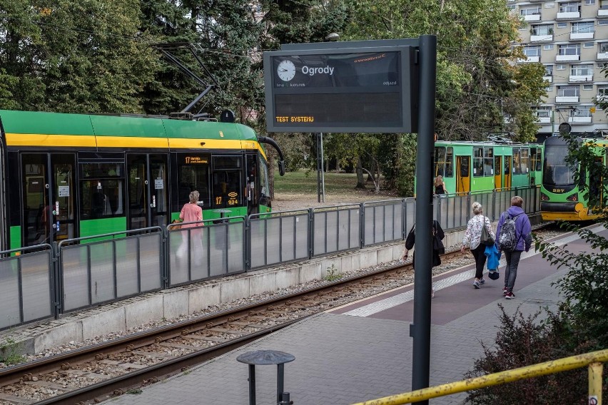 Miasto chce upiększyć pętlę na Ogrodach, przez urządzenie...