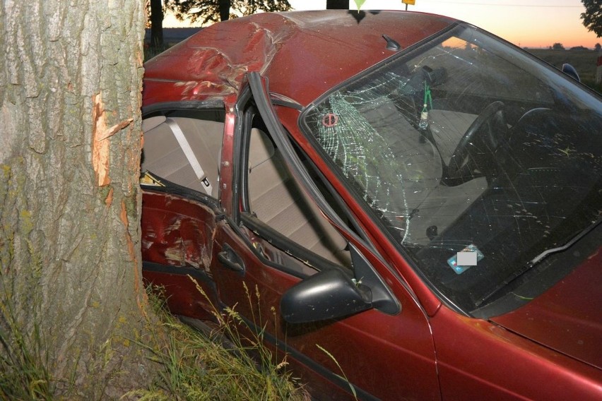 Tragiczny wypadek pod Radziejowem. Zginęła 19-latka. Troje nastolatków rannych. Ich auto uderzyło w drzewo