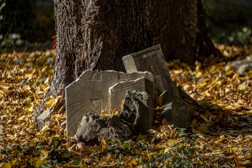 Cmentarz Zasłużonych Wielkopolan to jedna z najstarszych...