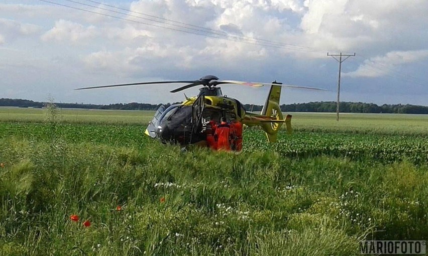 Kierowca audi uderzył w drzewo. Do wypadku doszło na odcinku...