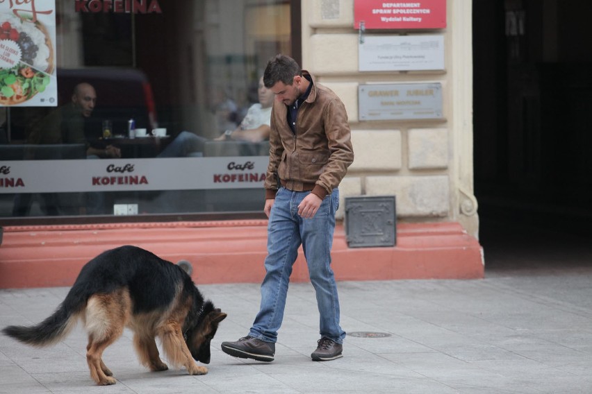 Komisarz Alex na Piotrkowskiej w Łodzi [ZDJĘCIA+FILM]