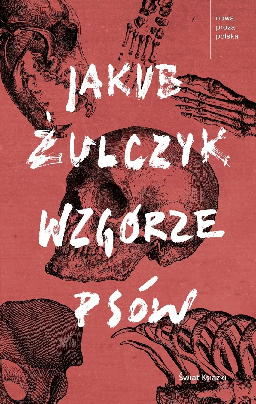 Jakub Żulczyk "Wzgórze psów". Zimna, ciemna...