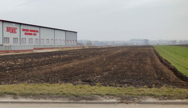 W tym miejscu, obok siedziby firmy Rolmet, ma zostać wybudowane pierwsze rondo w północno-wschodniej części obwodnicy Kazimierzy Wielkiej.