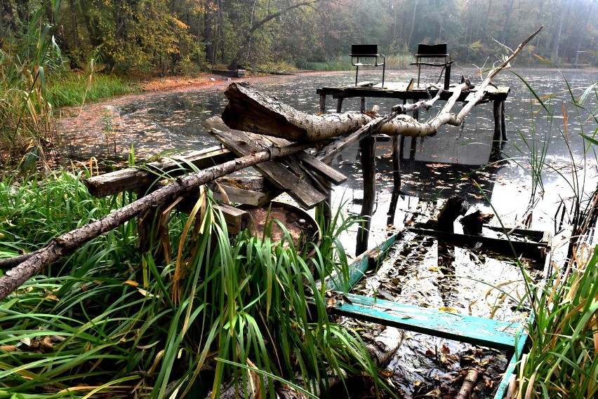 Jezioro Liny między Kargową a Babimostem - październik 2019