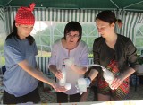 Radomski Piknik Naukowy 2017. Tłumy oglądają pokazy i doświadczenia na deptaku 