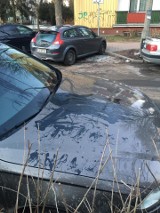 Lublin. Zdewastowane samochody na lubelskim LSM-ie. Policja i poszkodowani szukają sprawcy 
