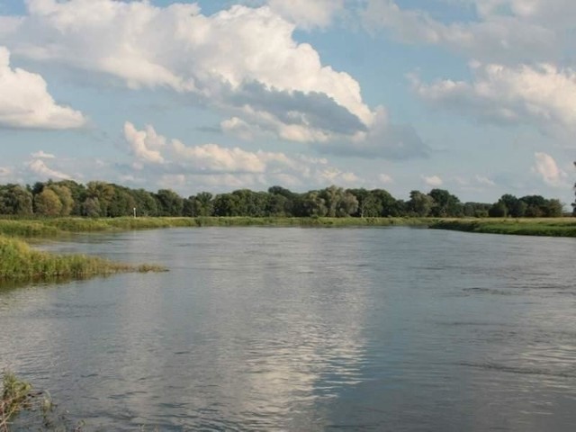 Skwierzyna stawia na WartęWarta w okolicach Skwierzyny. Rewitalizacja nadbrzeża rzeki w mieście ma wzbogacić jego ofertę turystyczną.