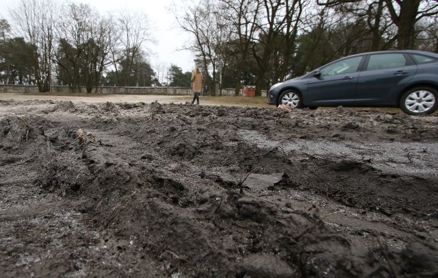 Mieszkańcy Białogonu kwestię budowy parkingu przy cmentarzu podnosili od kilku lat. - Gdyby powstał, nie musielibyśmy wysiadać z samochodów wprost w błoto - uzasadniali.