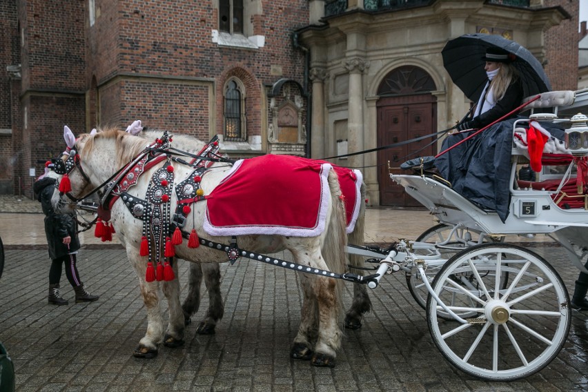 Kraków. Konie modnie odziane. Konie dorożkarskie zimą [ZDJĘCIA]