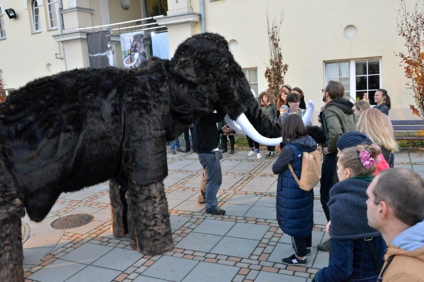 Zaskakujący finał konkursu Animatus zorganizowanego przez kielecki Teatr Lalki i Aktora Kubuś [ZDJĘCIA, WIDEO]