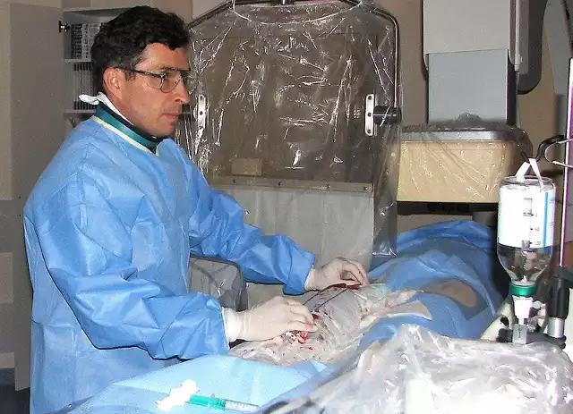 Szef pracowni hemodynamiki Piotr Danielewicz wprowadza do zamkniętej tętnicy wieńcowej stent, który ją udrożni